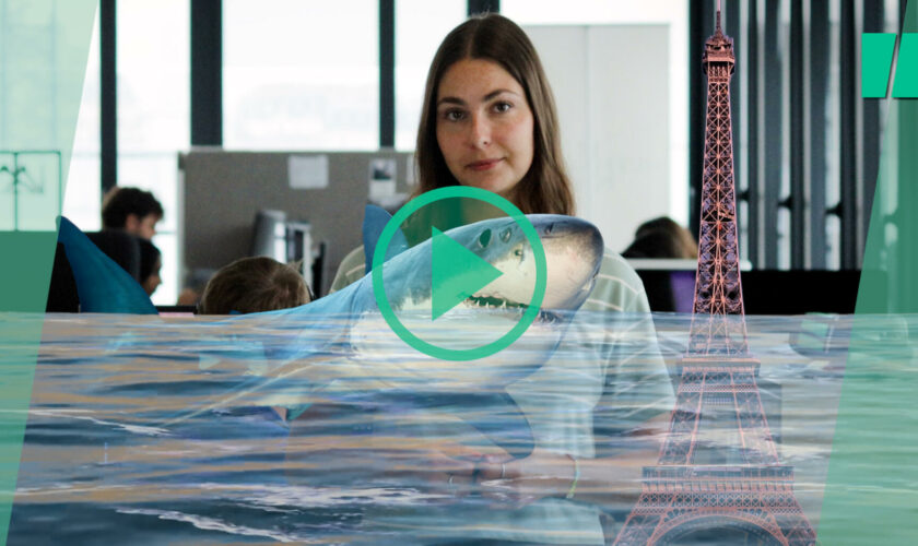 « Sous la Seine » sur Netflix : un requin à Paris, c’est vraiment possible ? Un expert nous répond