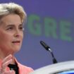 Pourquoi un déclin des Verts français serait une aubaine pour Ursula von der Leyen