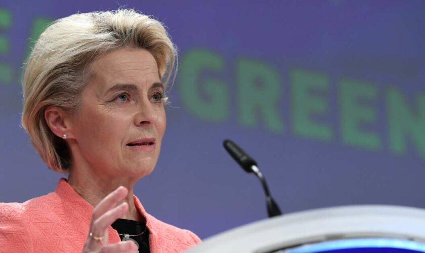 Pourquoi un déclin des Verts français serait une aubaine pour Ursula von der Leyen