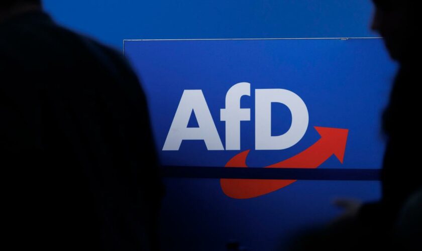 Zwei AfD-Stadträte in Karlsruhe angegriffen – weitere Attacken auf Politiker