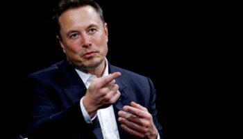 „Warum reagieren manche so negativ auf die AfD?“, fragt Elon Musk