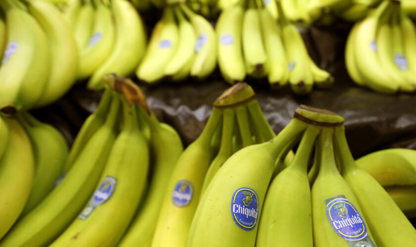 La multinationale Chiquita jugée responsable du financement de paramilitaires colombiens