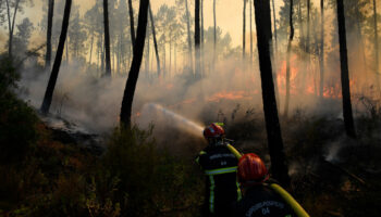 Dans le Var, un violent incendie mobilise des dizaines de pompiers