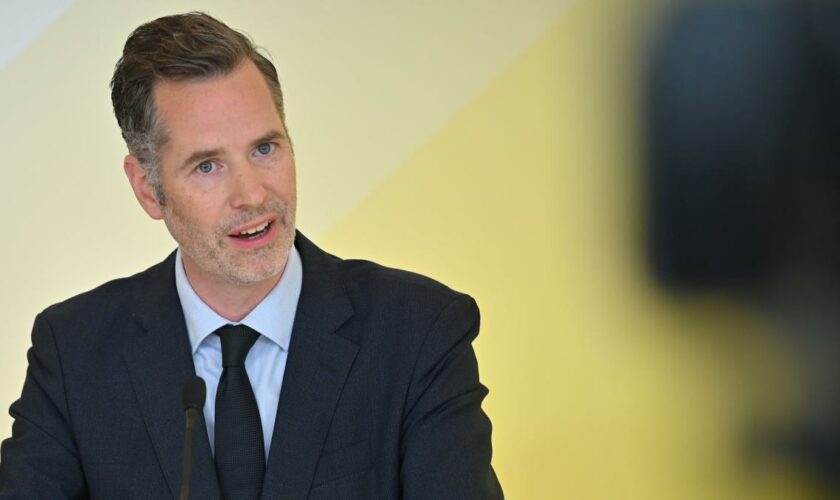 FDP-Fraktionschef stellt subsidiären Schutz für „sehr viele Geflüchtete“ infrage