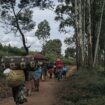 Nord-Kivu: Islamistenmiliz tötet mehr als 40 Menschen im Osten Kongos