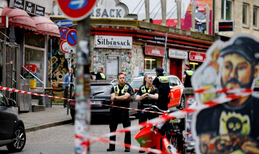 Hamburg police shoot man near Euro 2024 fan park ‘threatening officers with pickaxe’