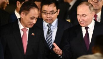 Jetzt geht Putin in Vietnam auf Partnersuche – Wirtschaft und „humanitärer Bereich“ im Fokus