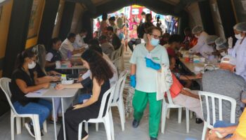 Tropenkrankheit: Brasilien meldet mehr als sechs Millionen Dengue-Fälle
