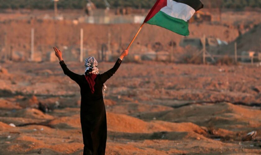Une manifestante brandit le drapeau de la Palestine près de la frontière entre Israël et la bande de Gaza, le 2 novembre 2018. (Image d'illustration).