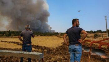 Brandkatastrophe: Fünf Menschen sterben durch Waldbrände im Südosten der Türkei