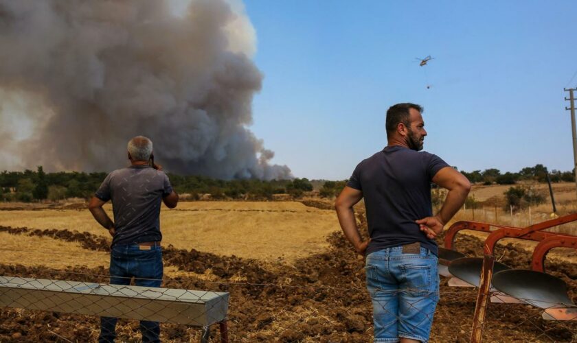 Brandkatastrophe: Fünf Menschen sterben durch Waldbrände im Südosten der Türkei