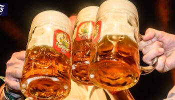 Bier, Wein oder Schnaps: Diese Trinkgewohnheiten haben Menschen in Europa