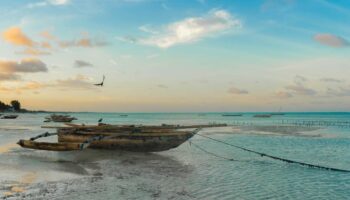 “Après une vie d’expat en Afrique, je suis super contente de prendre ma retraite à Zanzibar”