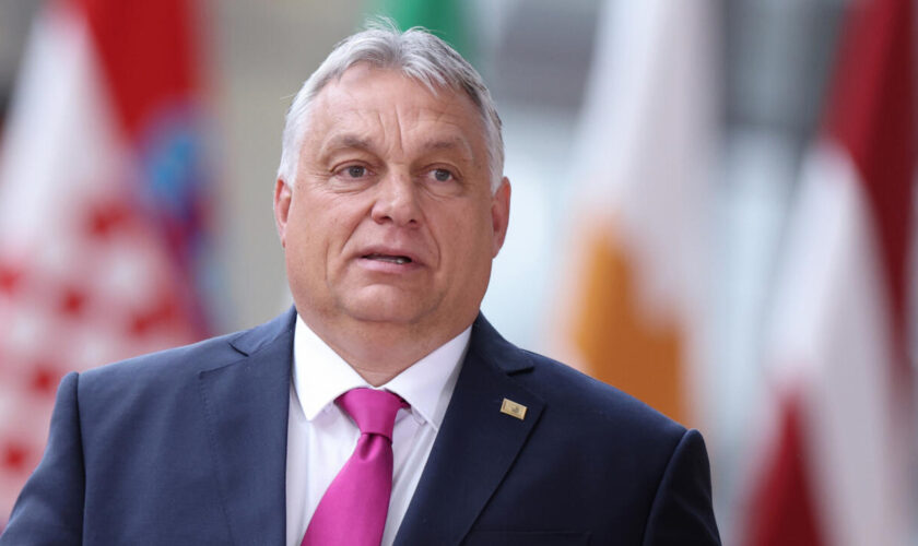 Parlement européen : Viktor Orban veut former un nouveau groupe avec les partis FPÖ et ANO