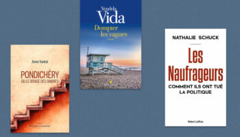 Anne Vantal, Vendela Vida, Nathalie Schuck… Notre sélection livres de la semaine