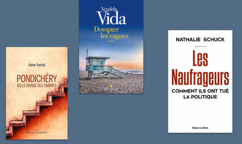 Anne Vantal, Vendela Vida, Nathalie Schuck… Notre sélection livres de la semaine