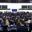 Avec l’arrivée des partis populistes, le Parlement européen est devenu «une véritable arène politique»