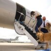 Bark Air, la aerolínea en la que los perros viajan en primera clase