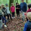 « Cela permet de voir la nature évoluer au fil des saisons » : ces élèves font de la géométrie… en forêt