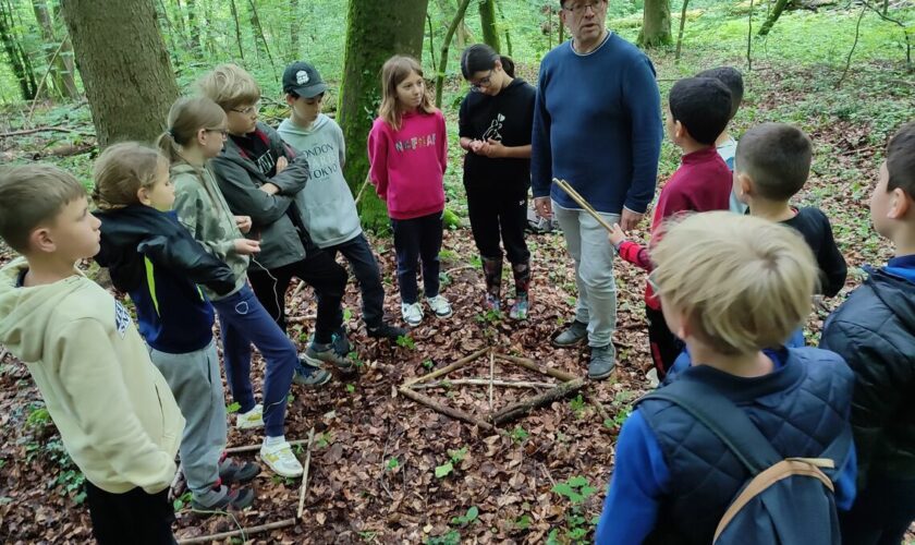 « Cela permet de voir la nature évoluer au fil des saisons » : ces élèves font de la géométrie… en forêt