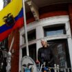 De l'ambassade d'Équateur à une prison de haute sécurité: le feuilleton judiciaire de Julian Assange
