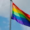 Depuis quand le drapeau arc-en-ciel est-il un symbole LGBT+?