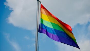Depuis quand le drapeau arc-en-ciel est-il un symbole LGBT+?