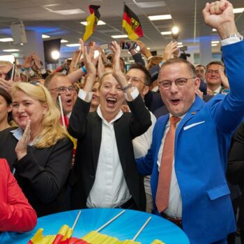 EU election: Germany rules out snap election after AfD gains