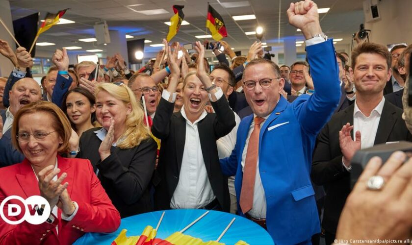 EU election: Germany rules out snap election after AfD gains