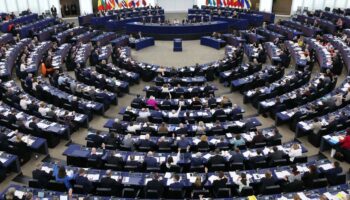 Élections européennes : à quoi servent les eurodéputés ?