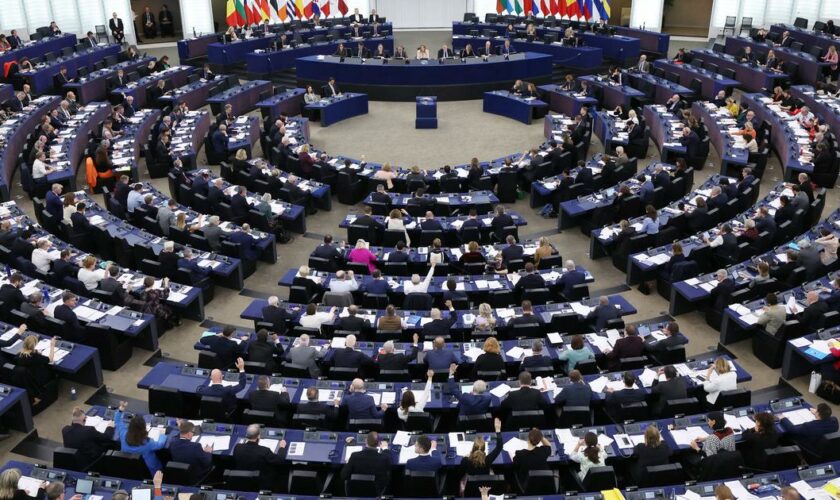 Élections européennes : à quoi servent les eurodéputés ?
