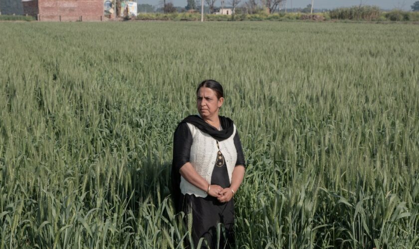 En Inde, les femmes «lune de miel» abandonnées par leur mari expatrié