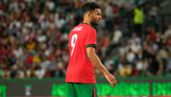 Euro 2024 : la drôle de mésaventure du Portugais  Gonçalo Ramos, taclé involontairement par un... stadier