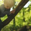 Familien-Newsletter: Der Lieblingsort unserer Kinder: draußen