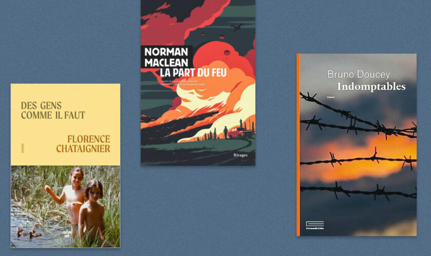 Florence Chataignier, Norman Maclean, Bruno Doucey… Notre sélection livres de la semaine