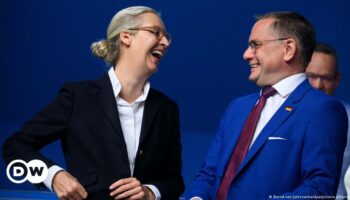 Germany's far-right AfD reelects leadership duo