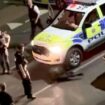 Großbritannien: Polizist überfährt entlaufene Kuh und wird suspendiert