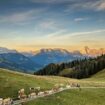 Gstaad en été, voyage divin dans les Alpes suisses
