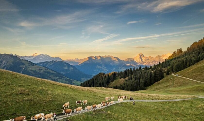 Gstaad en été, voyage divin dans les Alpes suisses