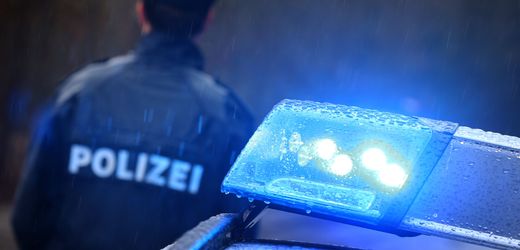 Karlsruhe: Zwei AfD-Stadträte angegriffen