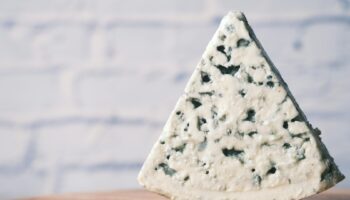 Le fromage rend heureux, c'est désormais scientifiquement prouvé