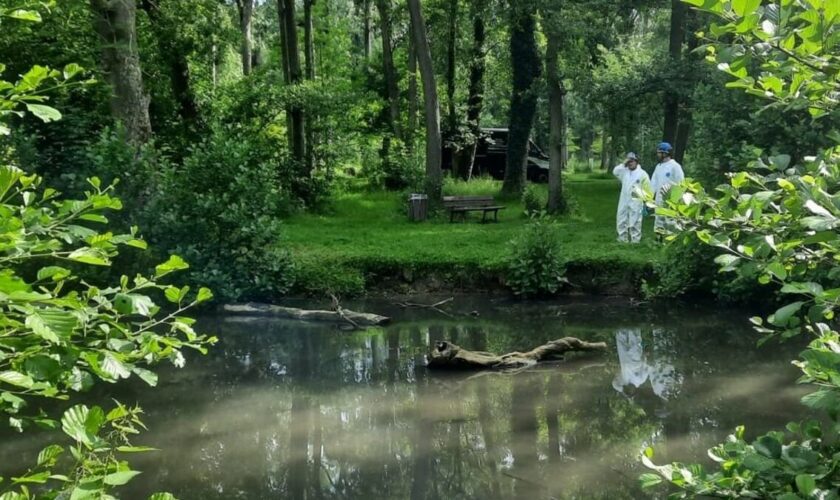 Le parc de Géresme de Crépy-en-Valois fermé après une pollution au fioul