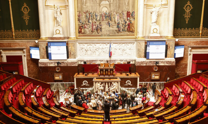 Législatives en Seine-et-Marne : 73 candidats se disputeront 11 sièges à saisir à l’Assemblée nationale