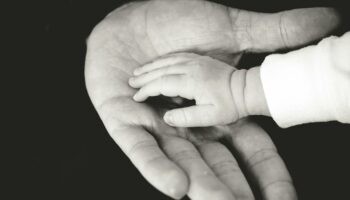 Les décès de nouveau-nés explosent depuis l'interdiction de l'avortement au Texas