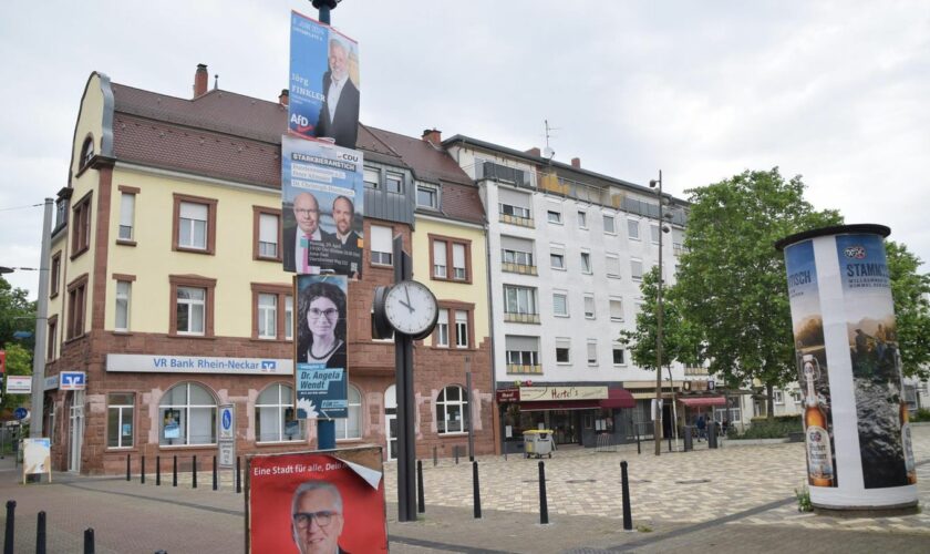 Mannheim: Wahlplakate verschiedener Parteien hängen an einem Laternenmasten