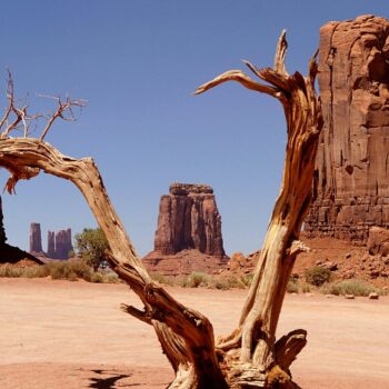 Même la vallée de la Mort a trop chaud à cause du réchauffement climatique