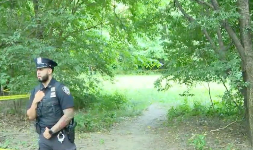 NYPD searching for man who sexually assaulted a woman sunbathing in Central Park