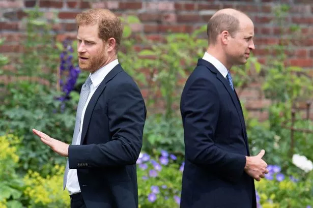 Prince Harry avoids awkward William reunion at Duke's wedding with diplomatic move