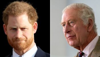 Prince Harry given a 'way forward' to fix his broken relationship with King Charles