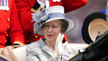 Princess Anne 'unable to recall what happened' after 'horse hit her on the head'